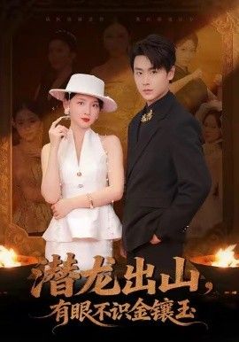 潜龙出山有眼不识金镶玉