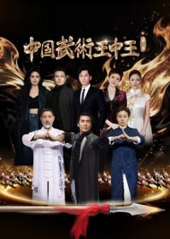 中国武术王中王第二季综艺